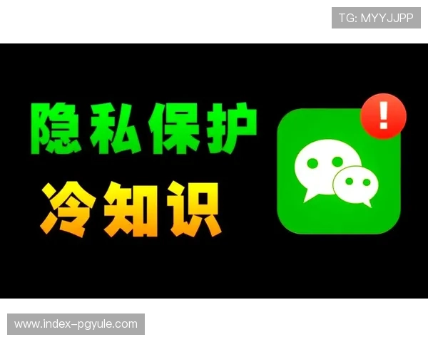 全面解析BG视讯官网APP的安全性与隐私保护措施保障用户账号安全